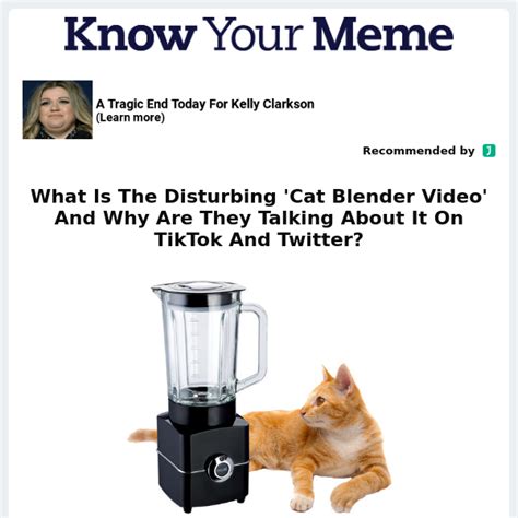 cat in the blender video twitter|Twitter. It’s what’s happening / Twitter